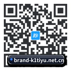 iOS 苹果生态原生版 二维码