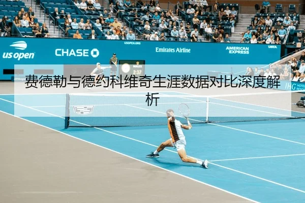 费德勒与德约科维奇生涯数据对比深度解析