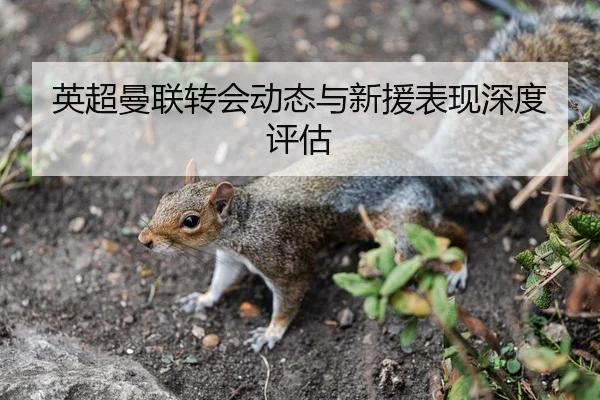 英超曼联转会动态与新援表现深度评估